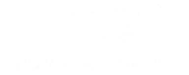 Bgs Security Division Logo