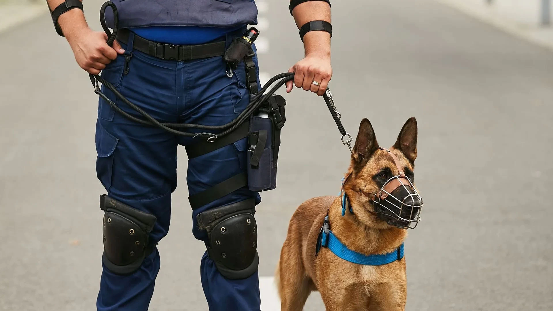 Security Services Paragraph 10 1920x1080